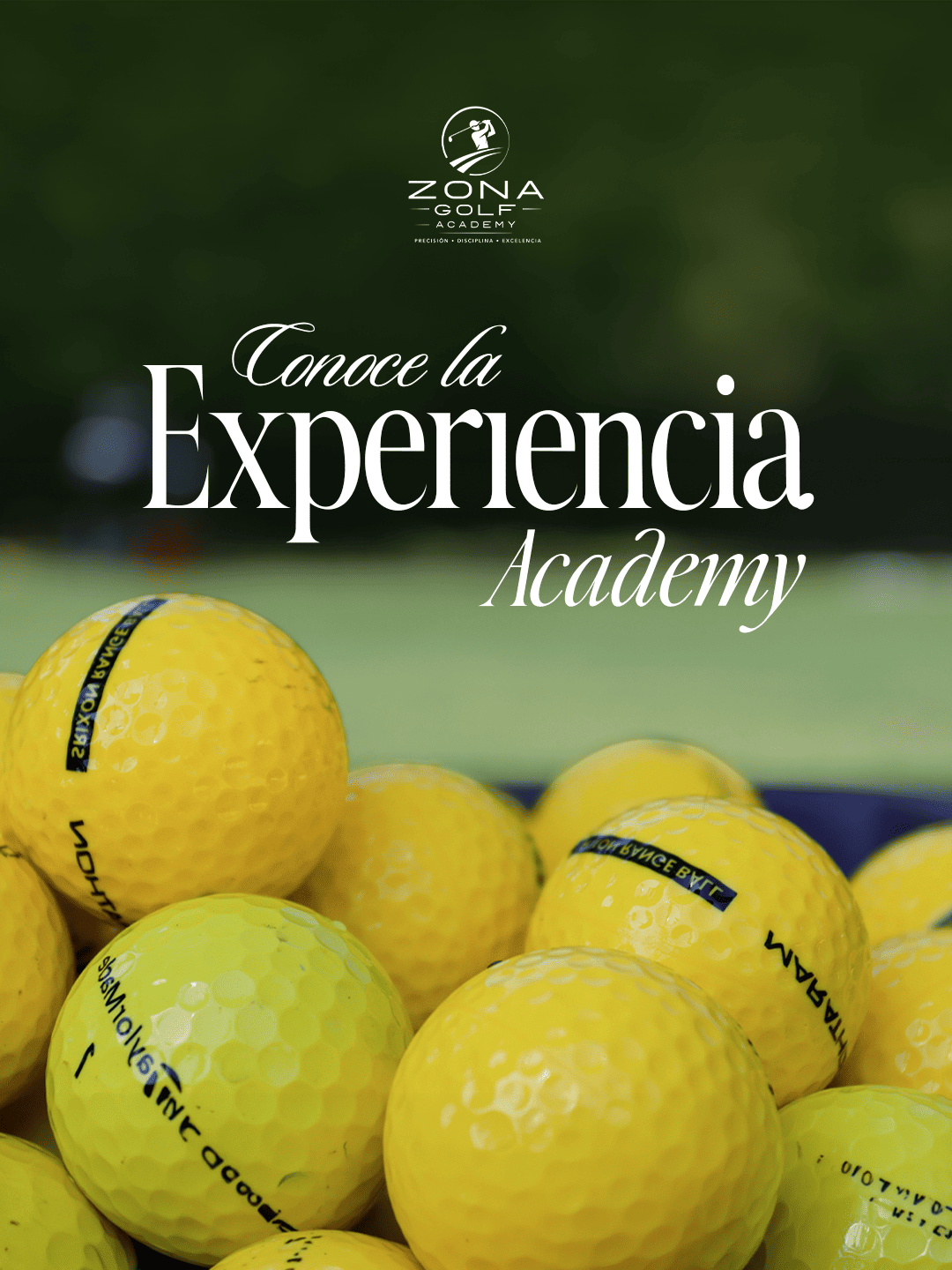 EXPERIENCIA